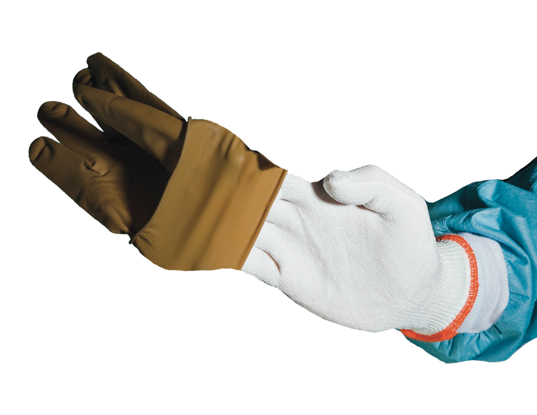 Liners Glove Cut Resistant Sterile Ambidextrous  .. .  .  